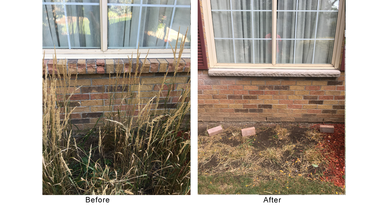 Markham Masonry - Window Sills Gallery Image 13